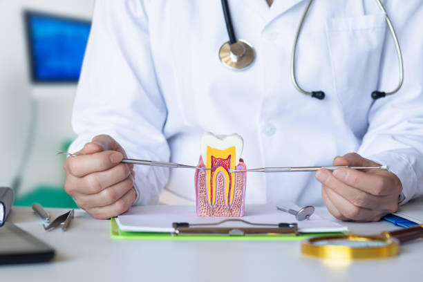 Best Knocked-Out Tooth Emergency  in Lawton, MI